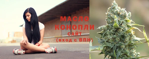 крисы Бронницы
