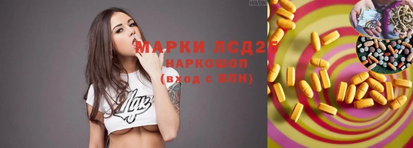 крисы Бронницы