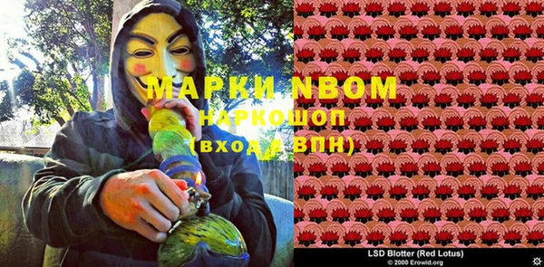 крисы Бронницы