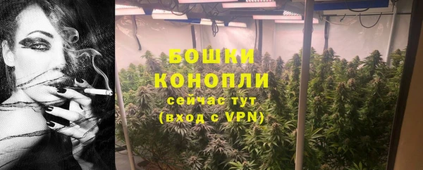 прущая мука Бородино