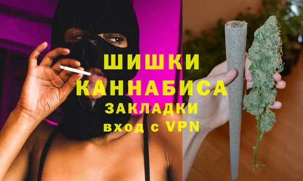 крисы Бронницы