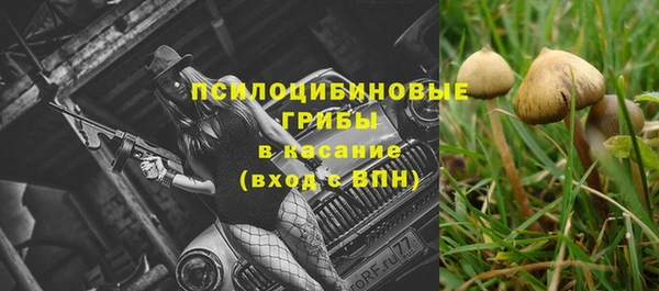 сатива Бугульма