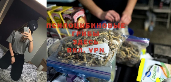 крисы Бронницы